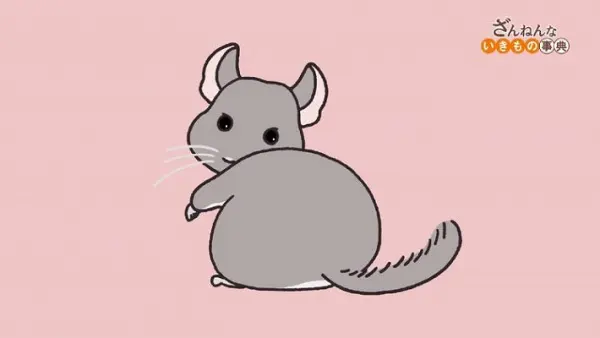 Постер к аниме Энциклопедия жалких созданий 3