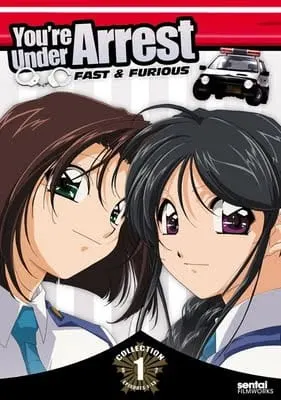 Постер к аниме Вы арестованы! 2