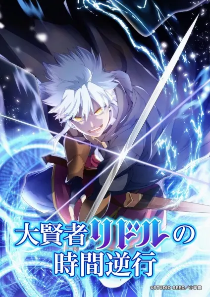 Постер к аниме Регрессия великого мудреца Риддла